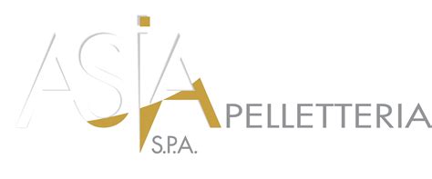 Raimondo Asia Pelletterie