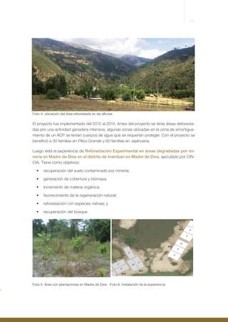 Análisis económico de Proyectos de Restauración de Paisajes forestales