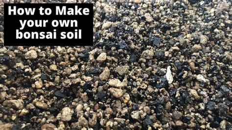 How To Make Bonsai Soil My Bonsai Soil Mix Bonsai Soil Bonsai Soil