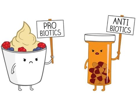 Prebiotics And Probiotics Whats The Difference Ideal Nutrition