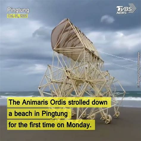 Theo Jansens Wind Powered Strandbeests” To Wonder On Taiwan Beaches