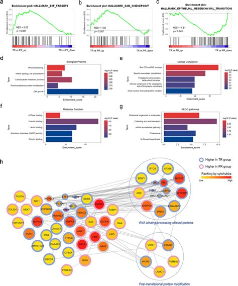 Functional Enrichment And Proteinprotein Interaction Ppi Gene Set