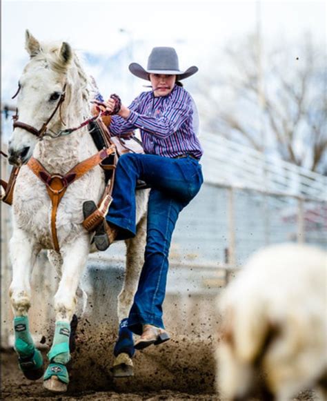 Goat Tying Rodeo Life Cowgirl Photography Eventing Horses