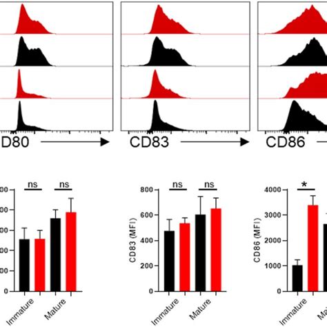 Overexpression Of MHCII And Costimulatory Molecules In GM CSF Treated