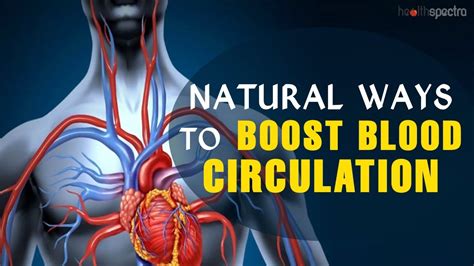 Natural Ways To Boost Blood Circulation YouTube