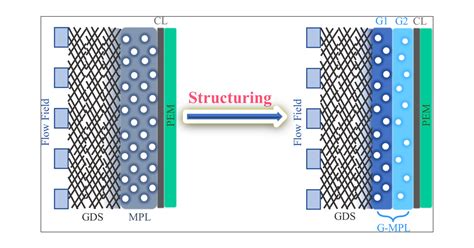 Graded Structure Design Of The Microporous Layer For Improving The Mass