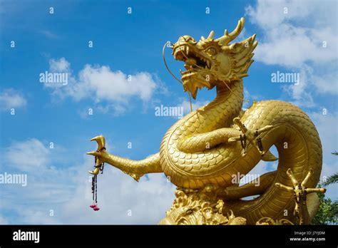 Giant Golden Chinese Dragon Statue On Blue Sky Background In Phuket