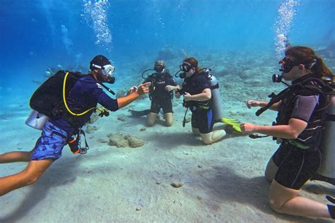 Tripadvisor Padi Open Water Cursus In Dagen Cura Ao Cara Ben