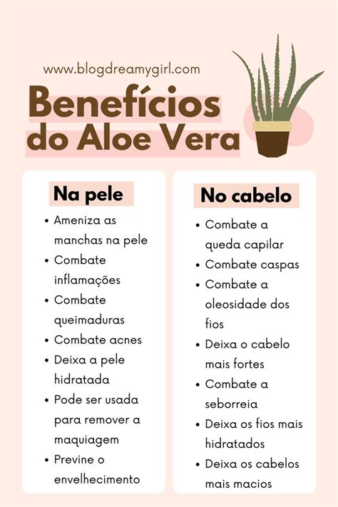 Quais são os benefícios da Aloe Vera para pele e cabelo Dicas para