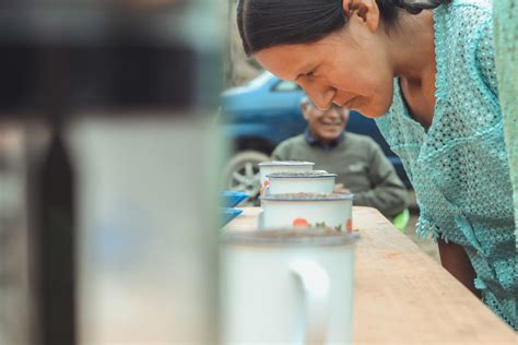 VARIEDADES DEL CAFÉ Y SU ADAPTACIÓN EN BOLIVIA Colonia de los Yungas