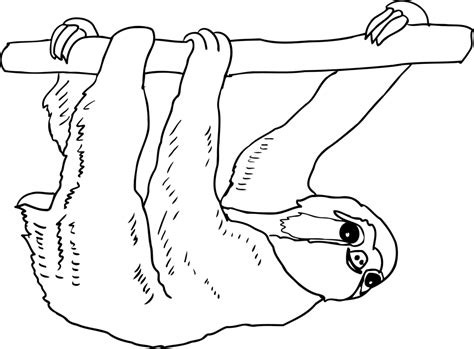 Sloth Clipart Black And White 10 Free Cliparts Download Images On