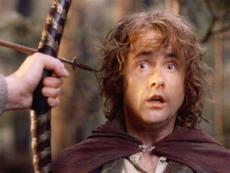 Pippin Peregrin Took Signore Degli Anelli Anelli