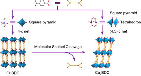 纳米人 Jacs：通过分子调控cu Bdc型mof结构