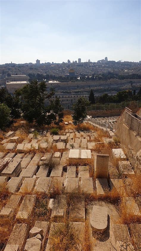 Monte das Oliveiras Jerusálem Israel Viaje Comigo Israel