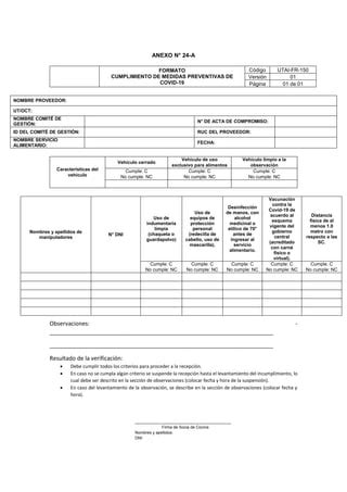 Formatos Bpm V Pdf