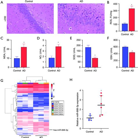 Differences In Hippocampus Characteristics Oxidative Stress Levels Download Scientific