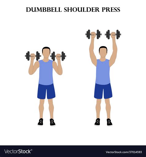 Dumbbell shoulder press workout exercise Vector Image