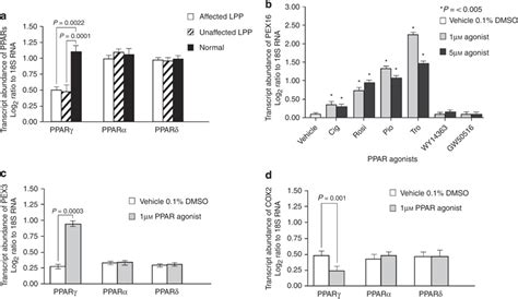 Altered PPAR Gene Expression In LPP And Its Effect On PEX And COX2