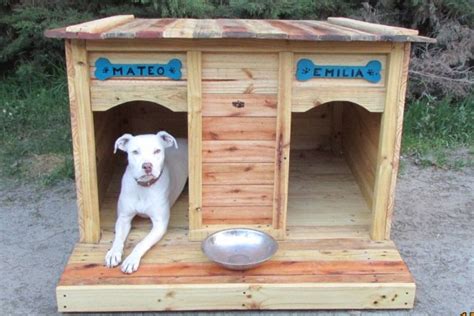 Ellos Construyen Casas Para Perros Ocupando Pallets Que Ya No Se Usan