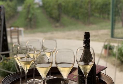 Interesting Facts About Franciacorta In Lombardy Region Winetourism