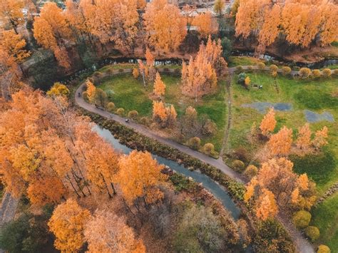 For The Love Of Trees Napa Master Gardener Column Anr Blogs