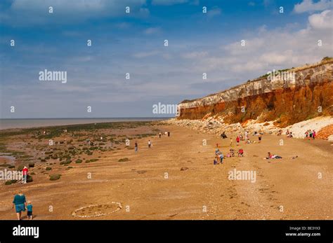 The Beach And Cliffs With People At Hunstanton North Norfolk Uk