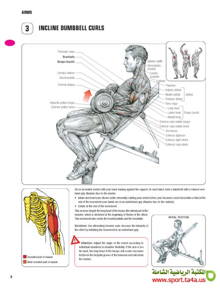 Strength Training Anatomy 3rd Edition