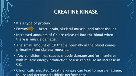 Creatine Kinase Ck Normal Range – transportkuu.com