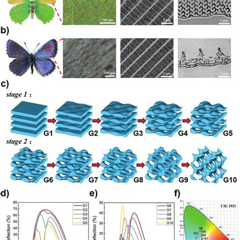 Evolution Of Gyroid Structure And Optical Response A B Photograph