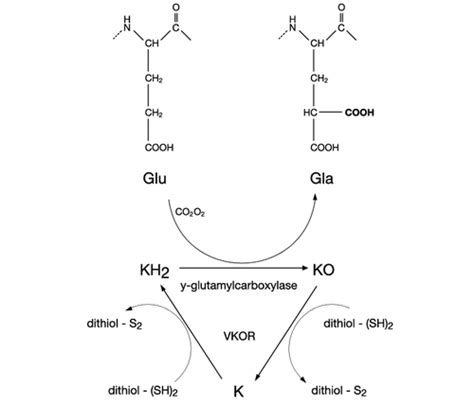 Pin On Multiple Systems