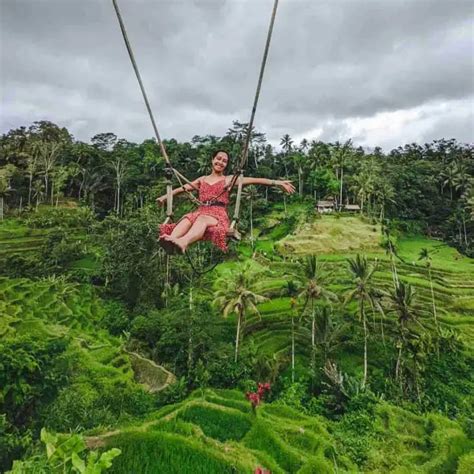 Things To Do In Ubud Bali For First Time Visitors Tabi Together