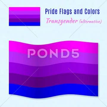 Transgender Pride Flag With Correct Color Scheme Graphic 55789797