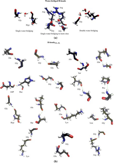 Schematically Structures Of Preferredly Possible H Bonds Intrachain