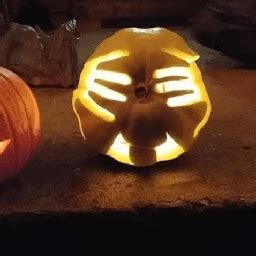 Échange de nude dex dm r plancul toulouse