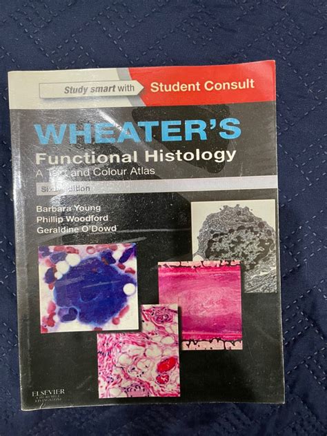 Wheater S Functional Histology Hobbies Toys Books Magazines