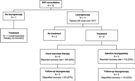 Flow Diagram Of Patients With Ent Consultations Ent Otolaryngology