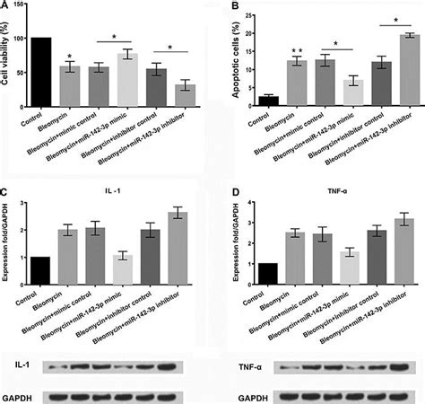 Scielo Brasil Microrna 142 3p Inhibits Apoptosis And Inflammation Induced By Bleomycin