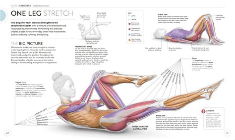 Science Of Pilates Freshly Centered