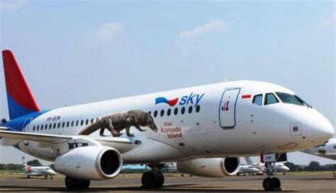 Akuisisi Sky Aviation Bosowa Siapkan Nama Baru Yang Lucu Transportasi