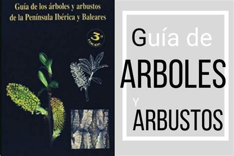 Gu A De Rboles Y Arbustos De Los Bosques Comestibles Gu A De Arboles