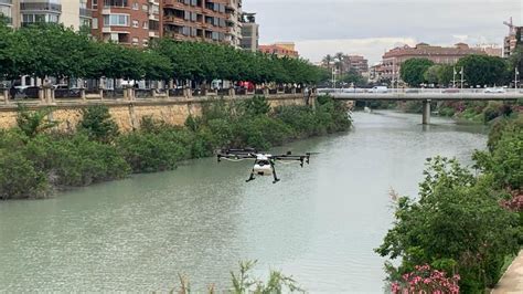 Las Lluvias Y Altas Temperaturas Intensifican La Campa A De Control Y