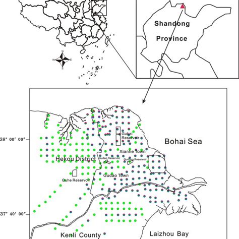 Sample plots in the Yellow River Delta | Download Scientific Diagram