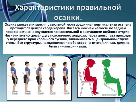 Осанка человека - презентация онлайн