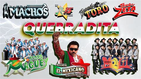 Las Grandes Tecno Bandas Banda El Mexicano Banda Machos Banda Toro