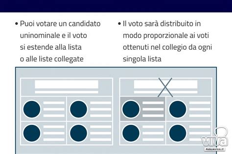 Puglia Elezioni Del 25 Settembre Ecco Come Si Vota Un Vademecum Per