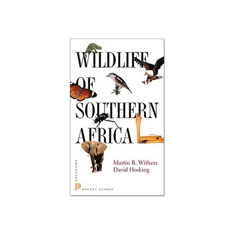 Wildlife Of Southern Africa
