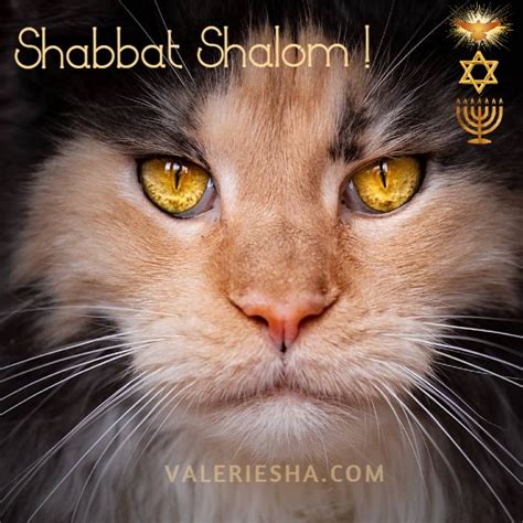 Shabbat Shalom 15 Octobre 2021 Michelle Dastier De La Vigerie