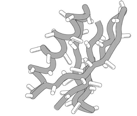 Protein Drawing at PaintingValley.com | Explore collection of Protein ...