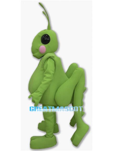 Cute Grasshopper Mascot Costume For Adult