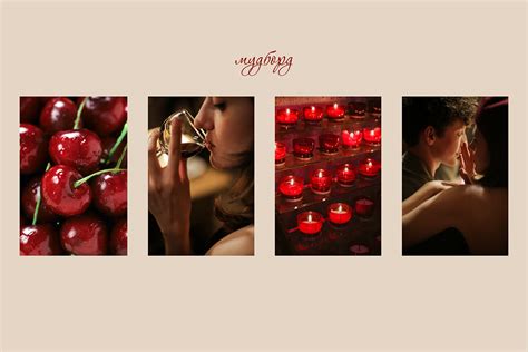 Lingerie Brand Branding Logotype Behance